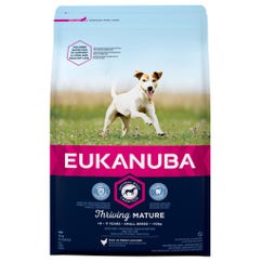 Aliment sec pour chiens pour chien adulte et senior de grande taille 3 kg