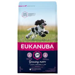 Aliment sec pour chiens pour chien junior et chiot de taille moyenne 3 kg