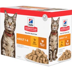 Aliment humide pour chats adulte morceaux tendres en gelée Multipack 12 pièces 85 g