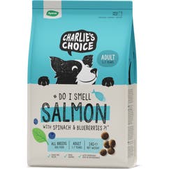 Droogvoer voor honden Adult 1 kg Zalm