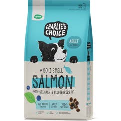 Droogvoer voor honden Adult 4 kg Zalm