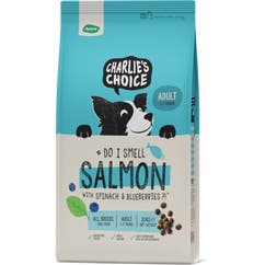 Droogvoer voor honden Adult 10 kg Zalm